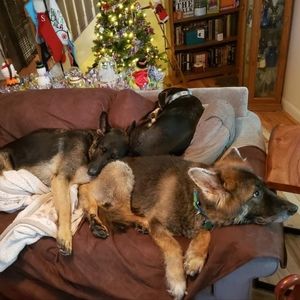 Meet your Posher, Quacks